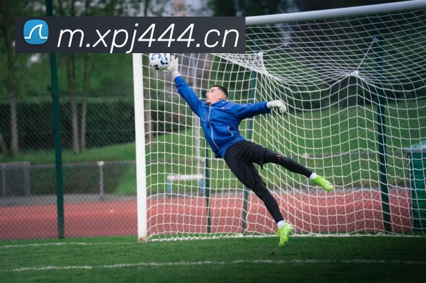 澳门新葡京官方网站品牌故事